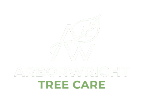 Arborwright Tree Care logo — plant health care arborists serving North Augusta SC and the CSRA
