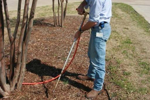 Licensed Applicator performing systemic soil drench at the root zone of a crepe myrtle for bark scale treatment