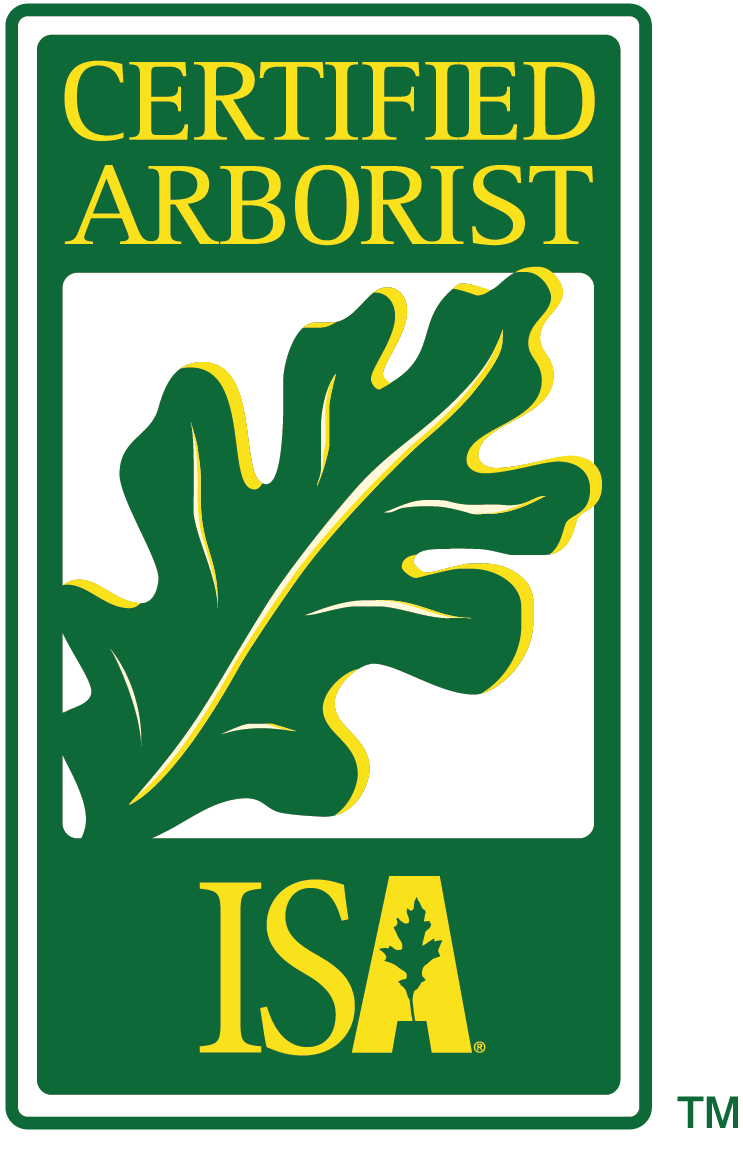 ISA Certified Arborist logo — Thomas Wilson, Certification ID SO-319387A, On Staff at Arborwright Tree Care