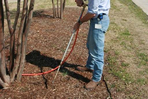 Soil injection treatment delivering nutrients to a tree's root zone, by Arborwright in North Augusta SC